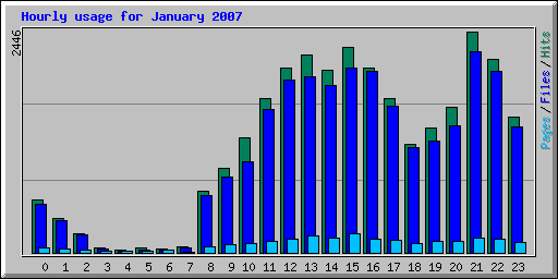 Hourly usage for January 2007
